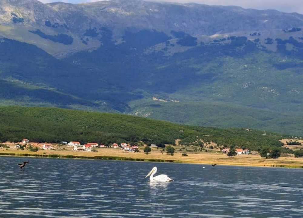5 Taman Nasional Terbaik di Yunani, Pesonanya Bikin Tak Berkedip!